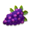 icon 4