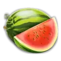 icon 2