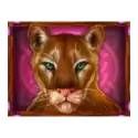 icon 4