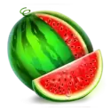icon 5