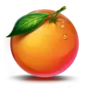icon 6