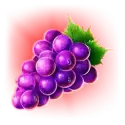 icon 4