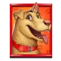 icon 2