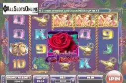 Arabian Rose