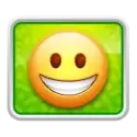 icon 6