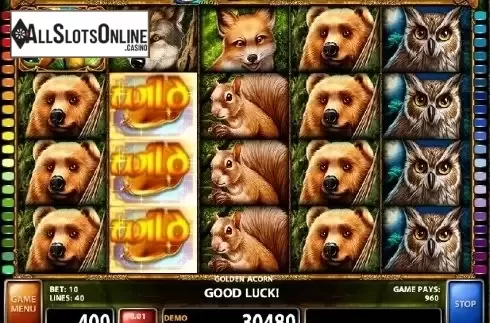 Screen 3. Golden Acorn from Casino Technology