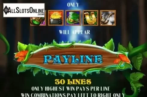 Paylines. Green Leprechaun from AllWaySpin