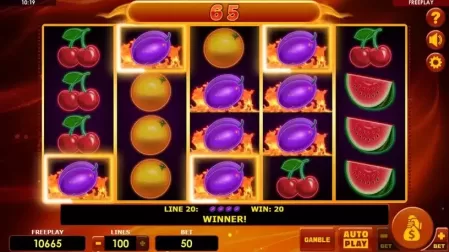 Hot fruits 100 slot screenshot 3