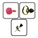icon 10