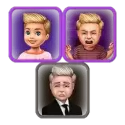 icon 3