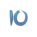 icon 9