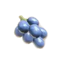 icon 7