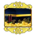 icon 13