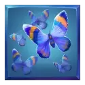 icon 7