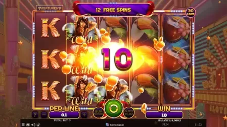 Reels Of Rio slot screenshot 8