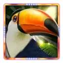 icon 2