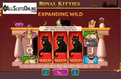 Feature Screen