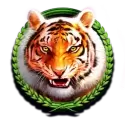 icon 4