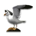 icon 1