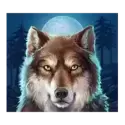 icon 3