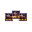 Bonus Buy INTERROGATION BONUS