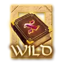 icon 1