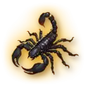 icon 6