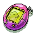 icon 5