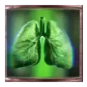 icon 4