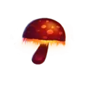 icon 6