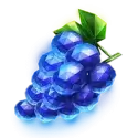 icon 5