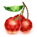 icon 9