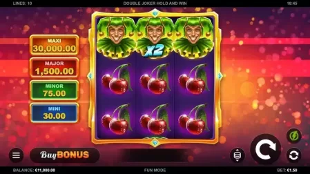 Double Joker Hold and Win slot screenshot 1