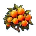 icon 5