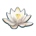 icon 4