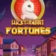 Lucky Rabbit Fortunes