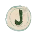 icon 10