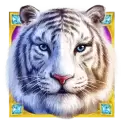 icon 10