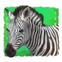 icon 4