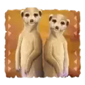 icon 5