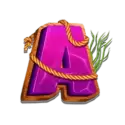 icon 6
