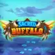 Sacred Buffalo