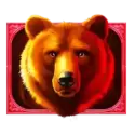 icon 5