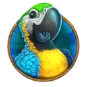 icon 3