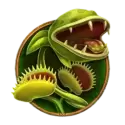 icon 4