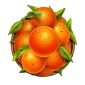 icon 5