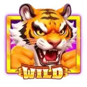 icon 10