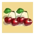 icon 10
