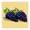 icon 5