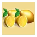 icon 9